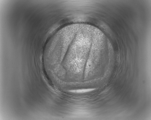 X0000065250491200603172208