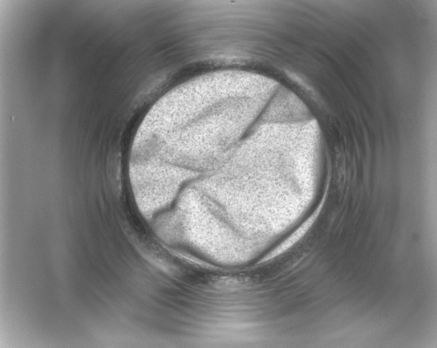 X0000065250494200603172208