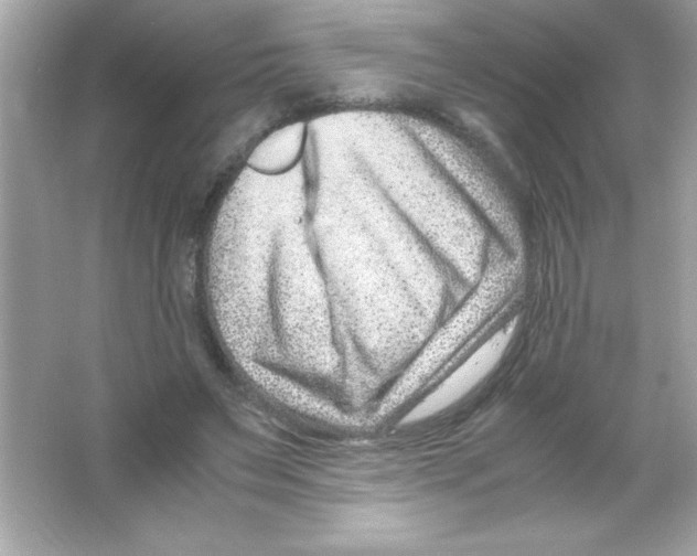 X0000065250495200603172208