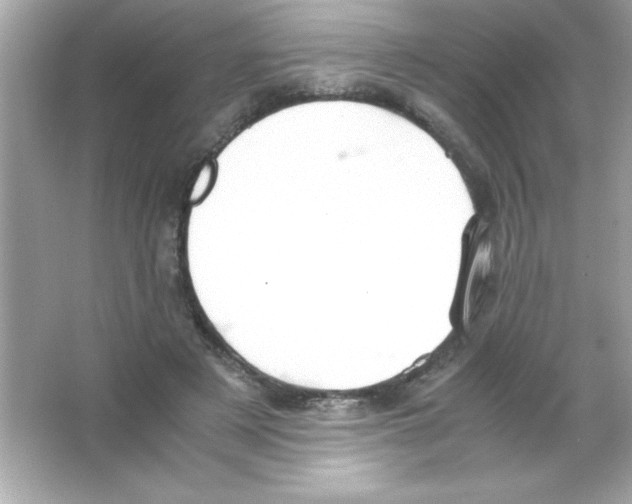 X0000065250497200603172208