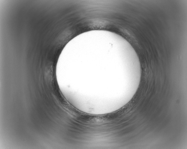 X0000065250498200603172208