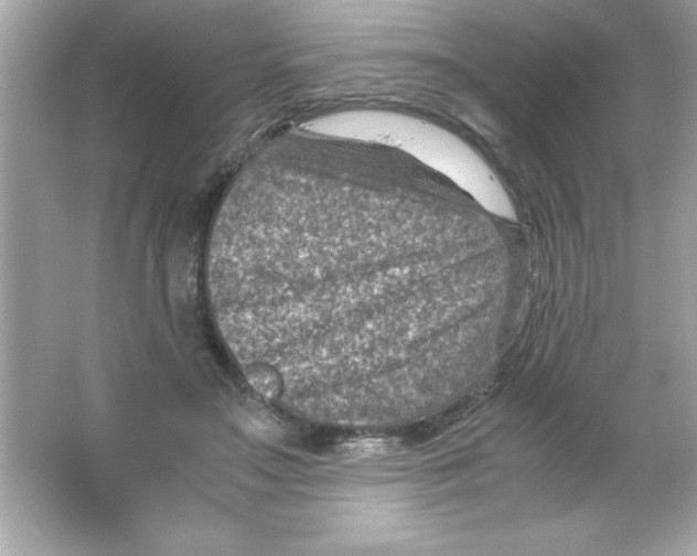 X0000065250499200603172208