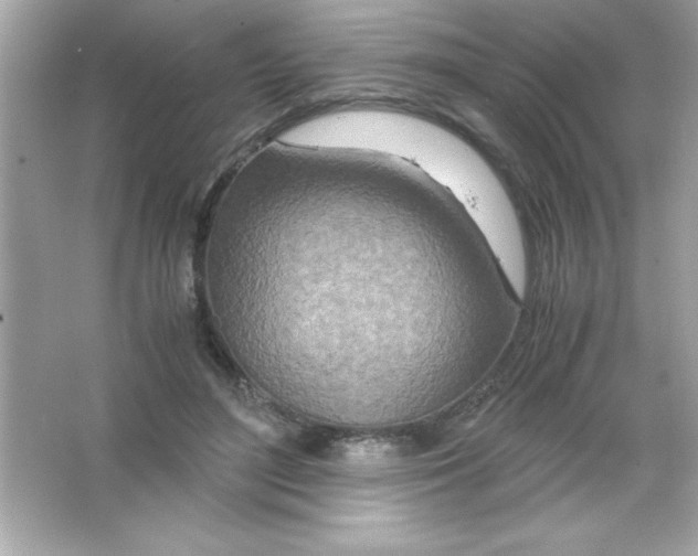 X0000065250500200603172208