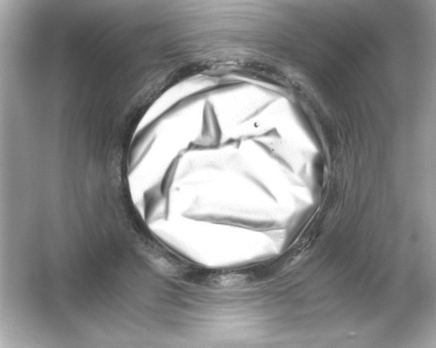 X0000065250501200603172208