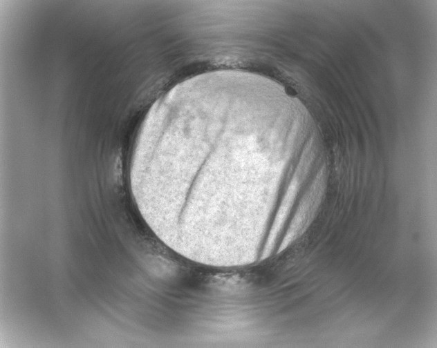 X0000065250502200603172208