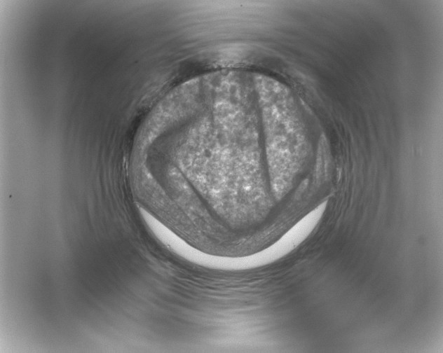 X0000065250503200603172208