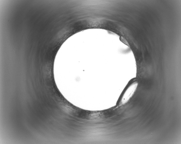 X0000065250505200603172208