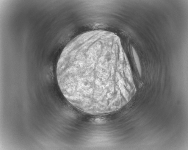 X0000065250506200603172208