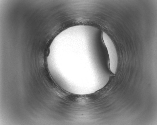 X0000065250508200603172208