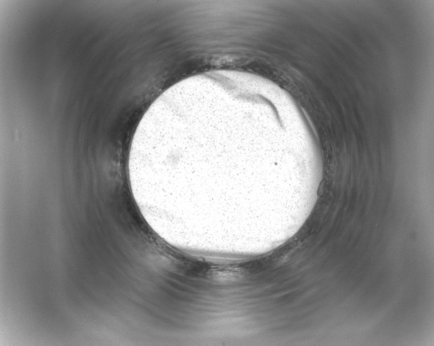 X0000065250510200603172208