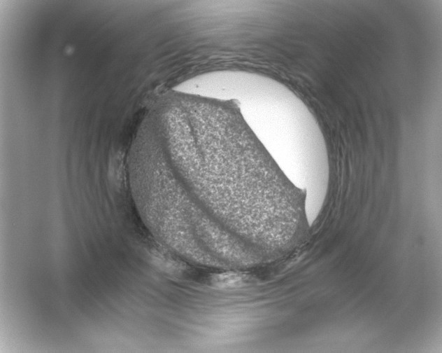 X0000065250511200603172208