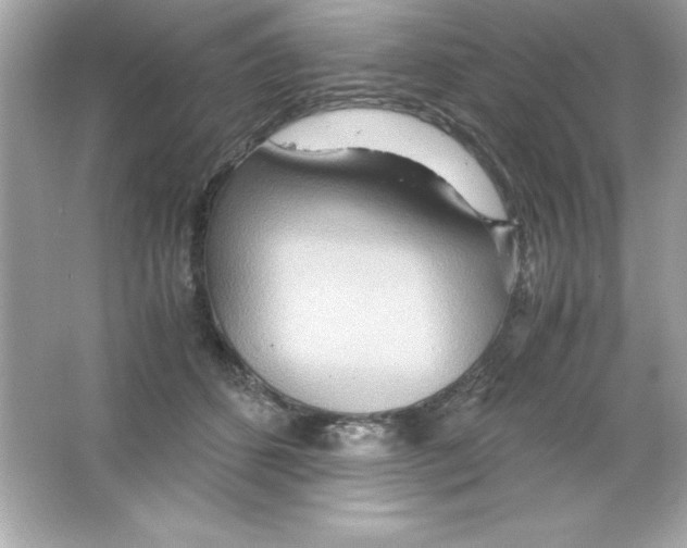 X0000065250512200603172208