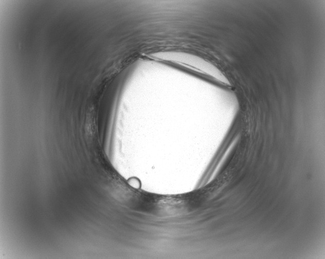 X0000065250515200603172208