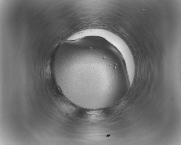 X0000065250516200603172208