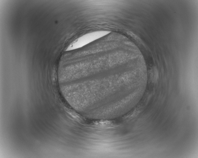 X0000065250517200603172207