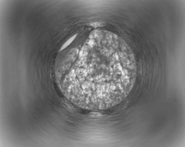 X0000065250519200603172207