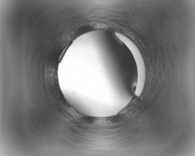 X0000065250521200603172207