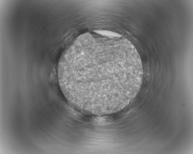 X0000065250523200603172207