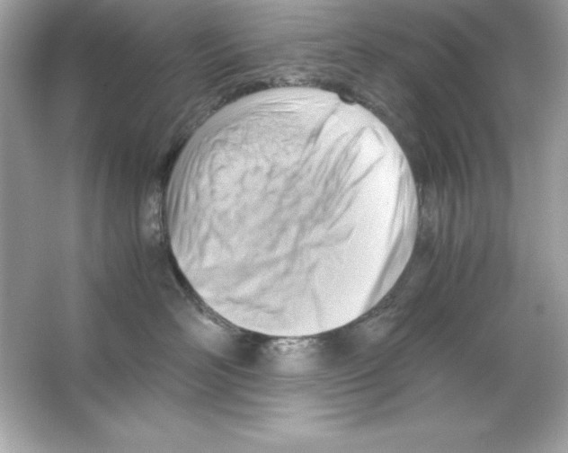 X0000065250526200603172207