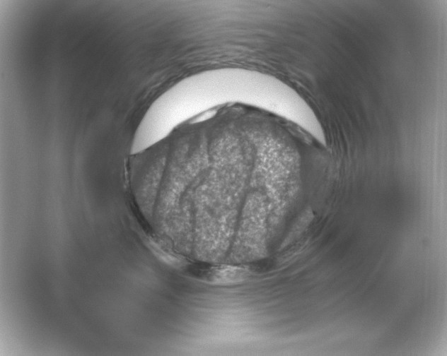 X0000065250527200603172207