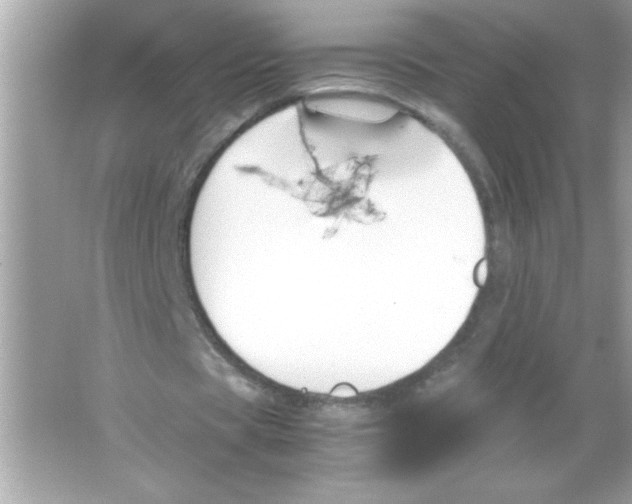 X0000065250529200603172206