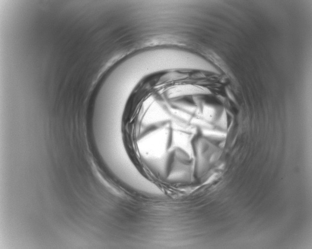 X0000065250530200603172207