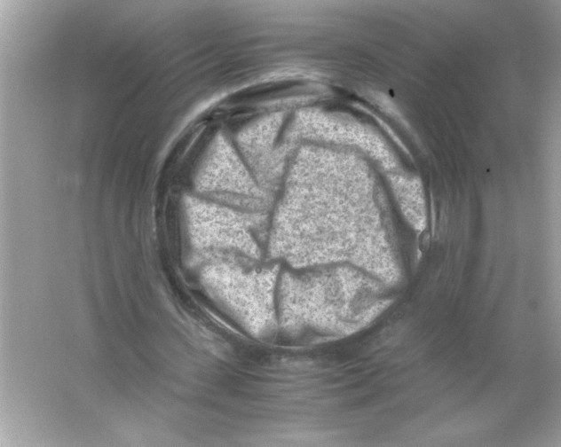 X0000065250531200603172207