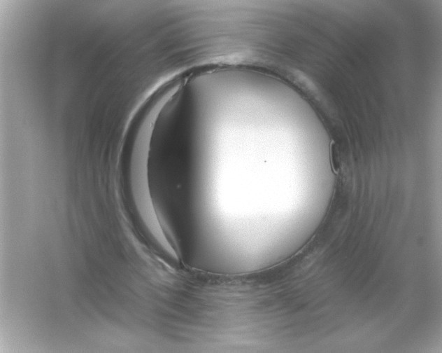 X0000065250532200603172207