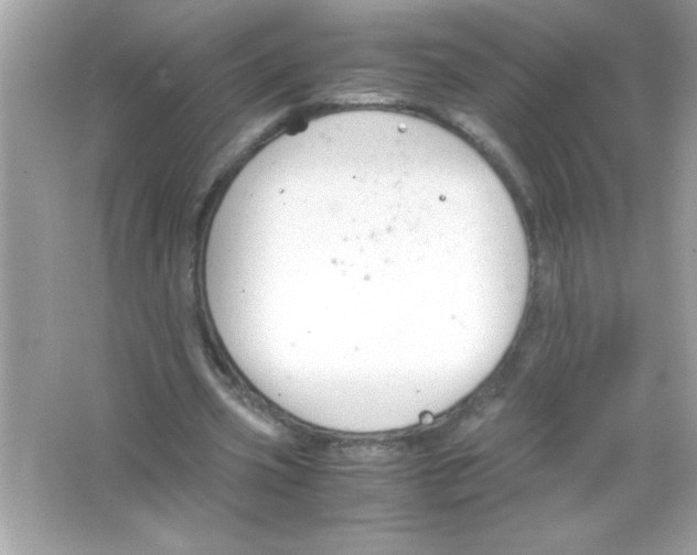 X0000065250533200603172207