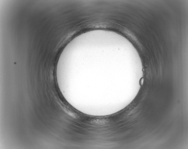 X0000065250537200603172207