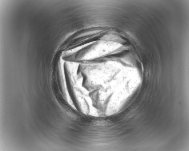 X0000065250540200603172207