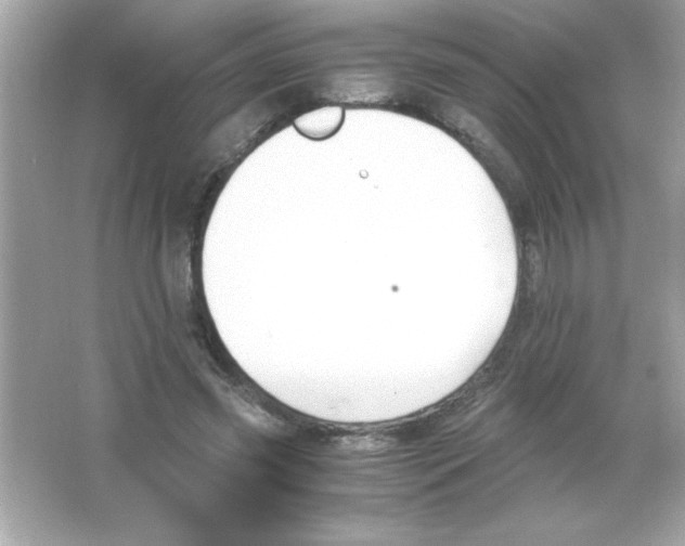 X0000065250541200603172207