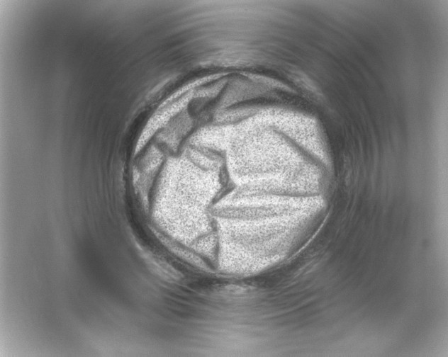 X0000065250542200603172207