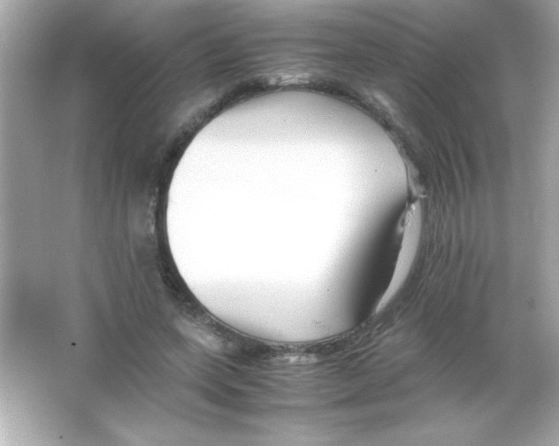 X0000065250543200603172207