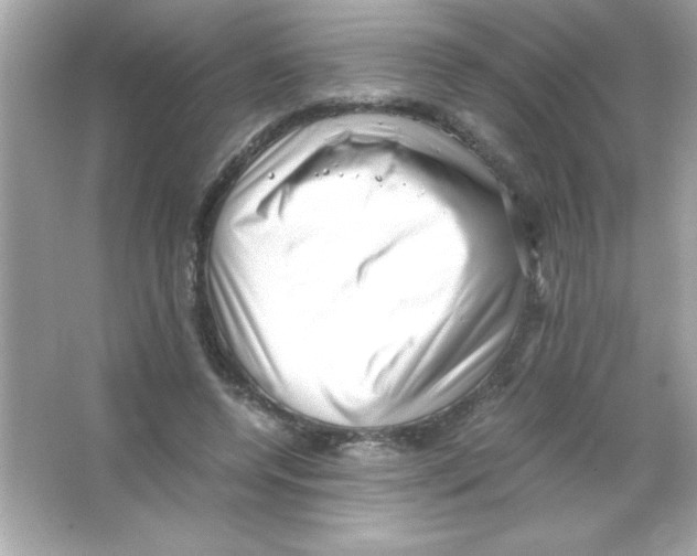 X0000065250544200603172207