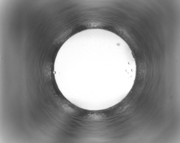 X0000065250545200603172207