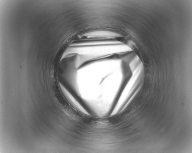 X0000065250548200603172207