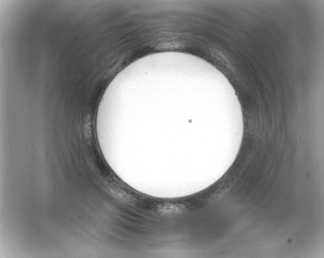 X0000065250549200603172207