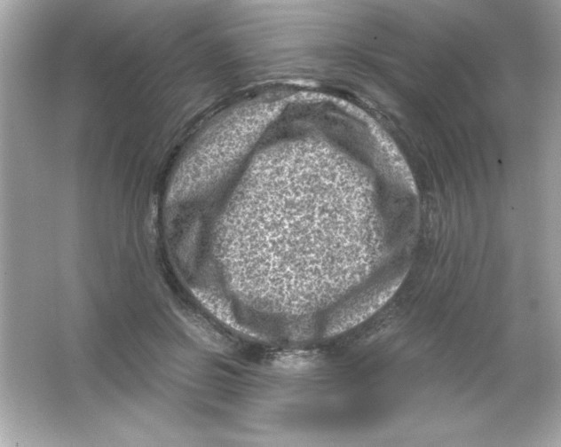 X0000065250550200603172207