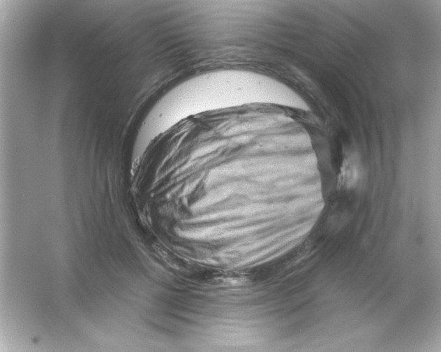 X0000065250552200603172207