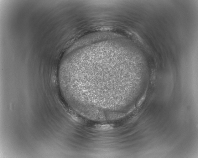 X0000065250553200603172207