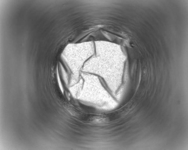 X0000065250555200603172207