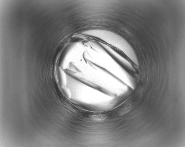 X0000065250556200603172207