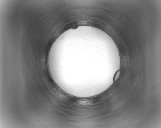 X0000065250557200603172207