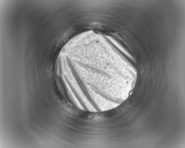 X0000065250559200603172207