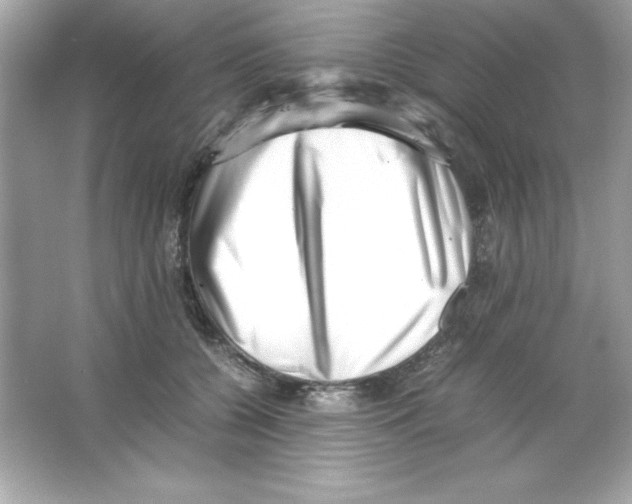 X0000065250560200603172207