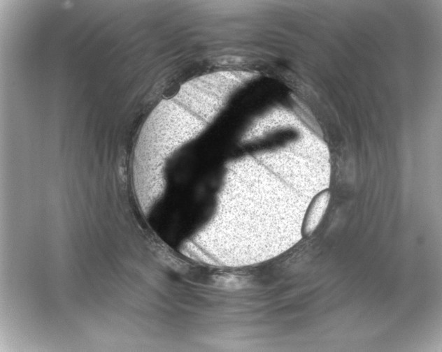 X0000065250561200603172207