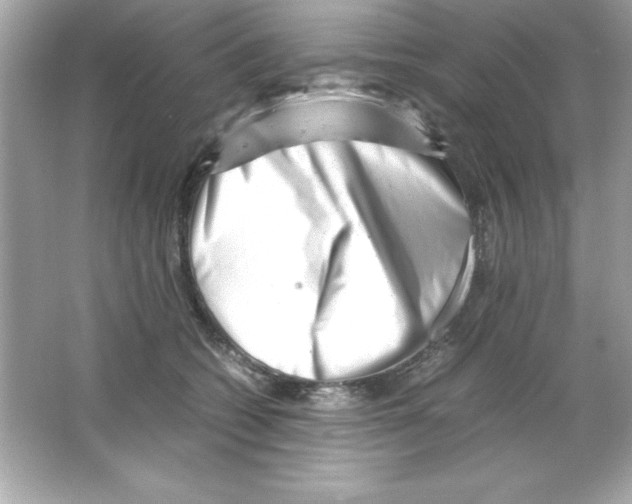 X0000065250562200603172207