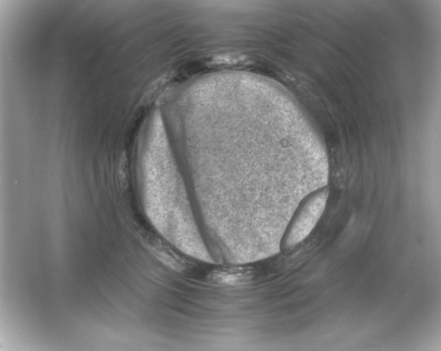 X0000065250563200603172207