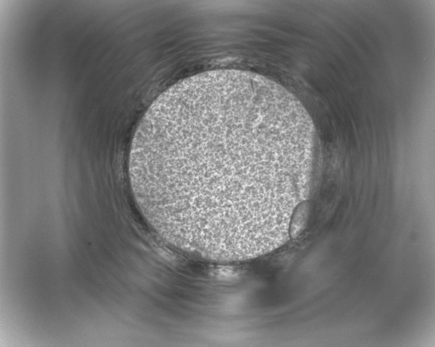 X0000065250565200603172207